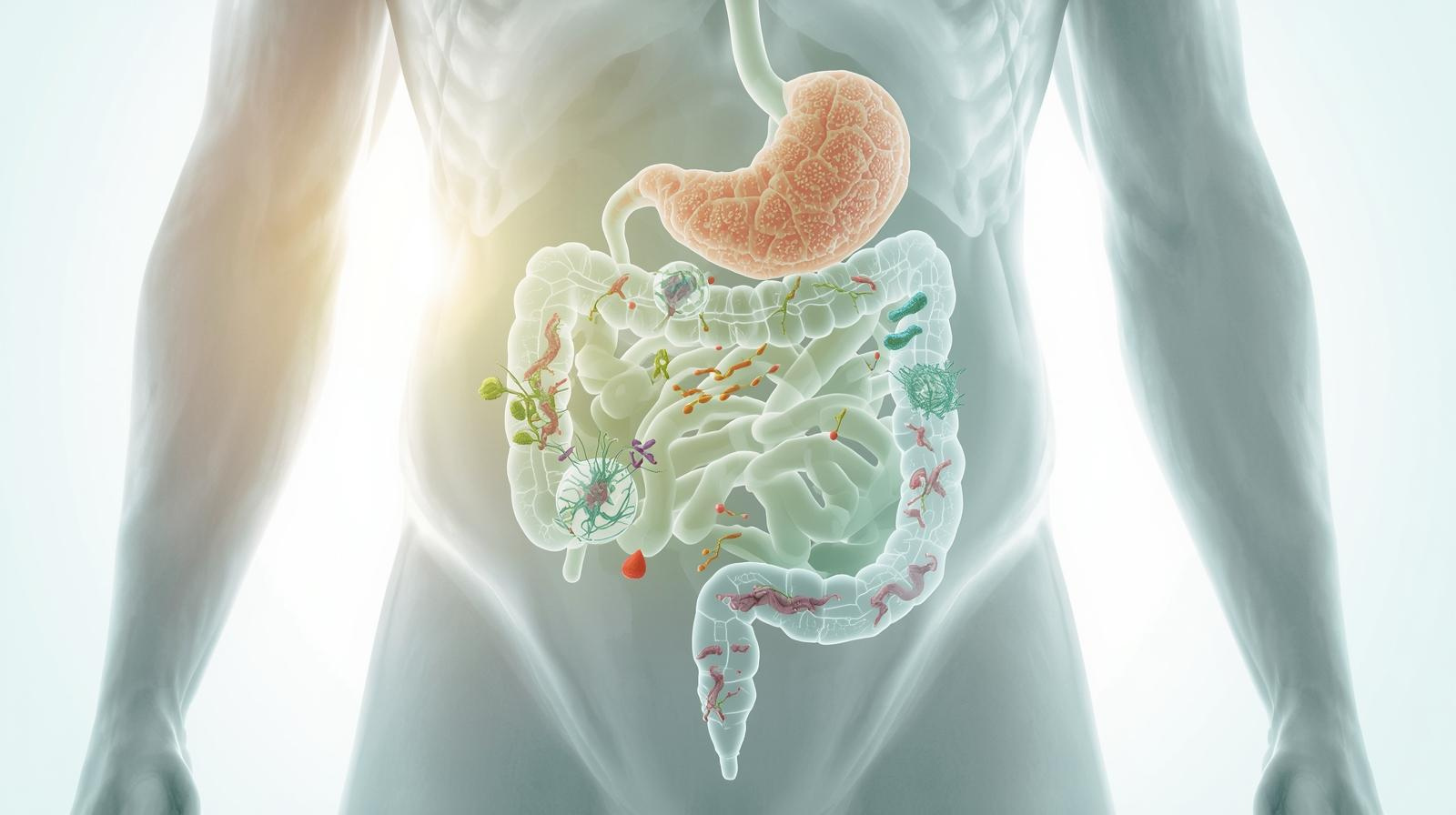 diseño sin título (5)